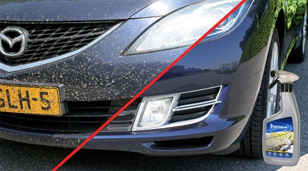 Michelin MC31401 Böcek, Sinek, Sivrisinek Temizleme Spreyi 650 ml.