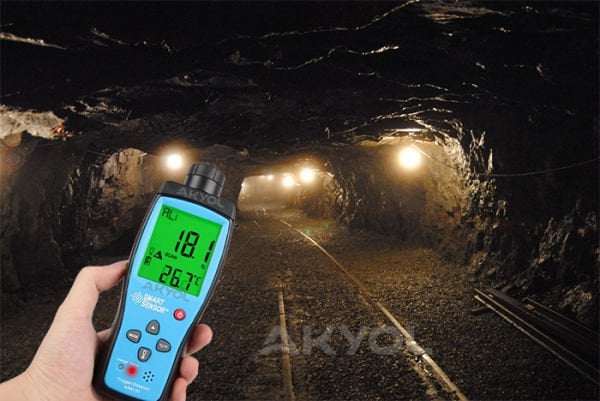 Smart Sensor AR 8100 Oksijen Ölçüm Cihazı