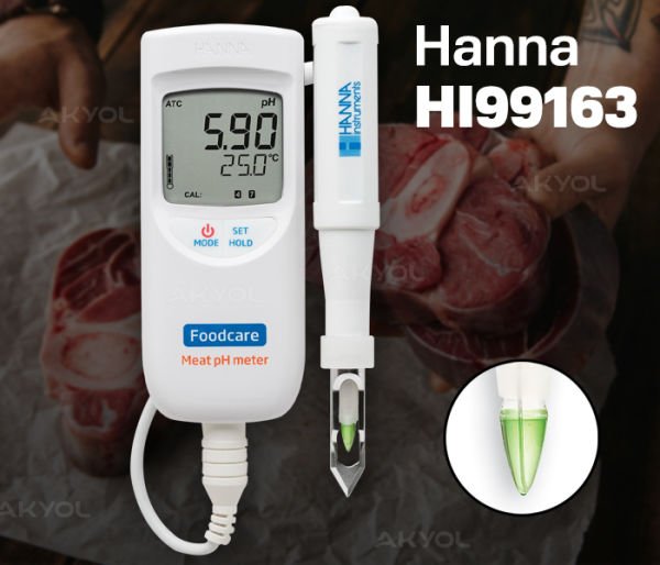 Hanna HI-99163 Et Ph Metresi