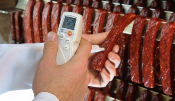 Testo 205 Et Gıda Ph ve Sıcaklık Ölçer