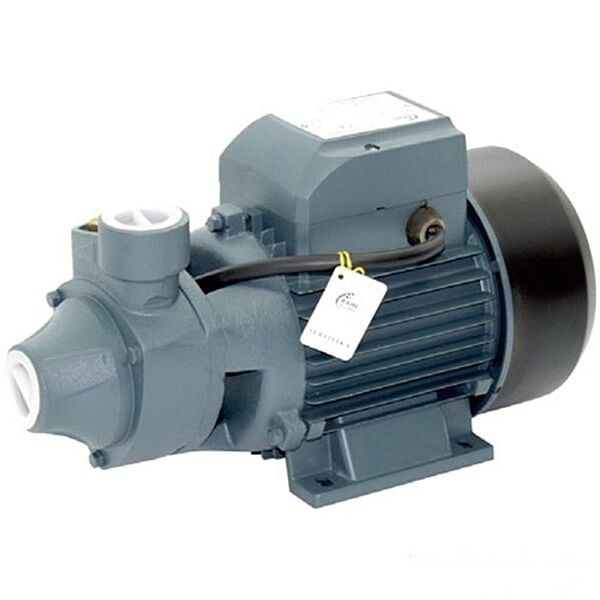 Rain Pump QB80 Santrifuj Su Pompası 1 Hp