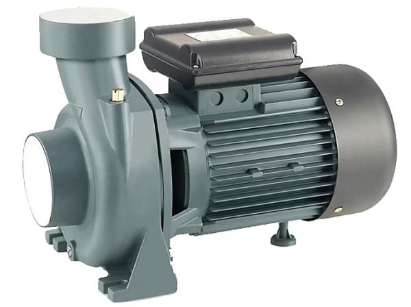 Rain Pump CPM170 Santrifuj Su Pompası 1.5 Hp