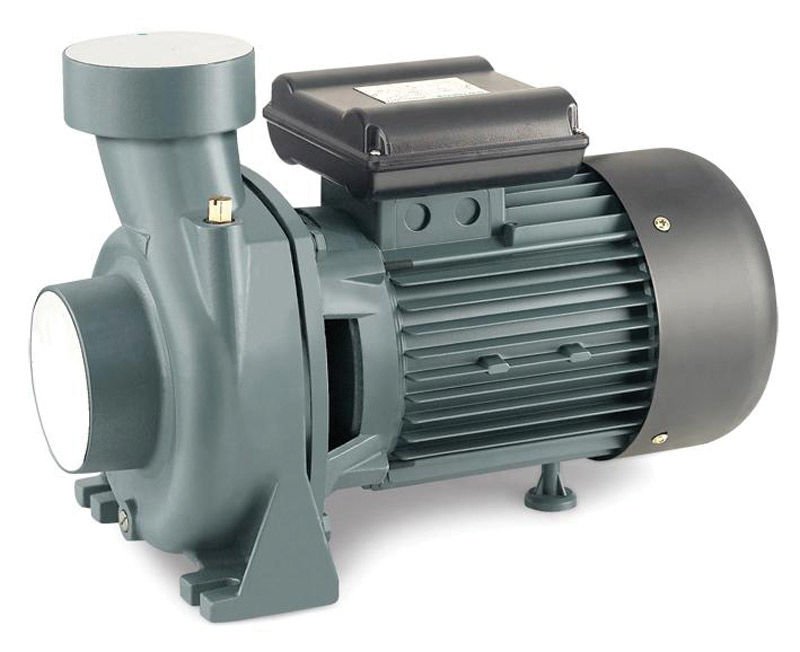 Raın Pump SHFM6BR Santrifuj Su Pompası 2 Hp