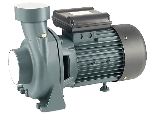 Raın Pump SHFM6CR Santrifuj Su Pompası 1.5 Hp