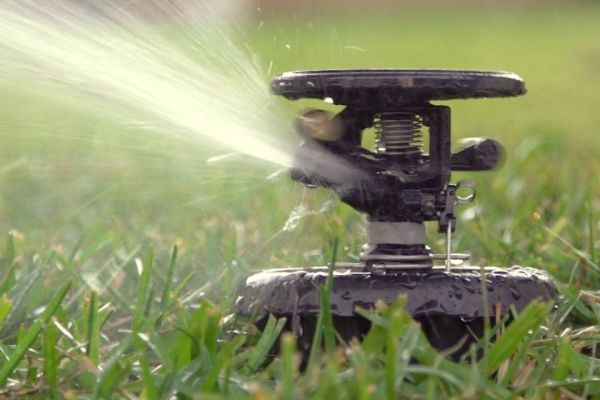 Daye DY2677 POP-UP Sprink Profesyonel Fiskiye