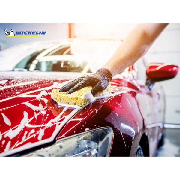Michelin 1Litre PRO Serisi Süper Konsantre Oto Şampuanı/83 Yıkama